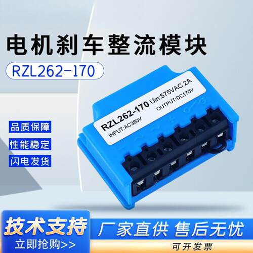 RZL262-170575VAC2A制动模块电机