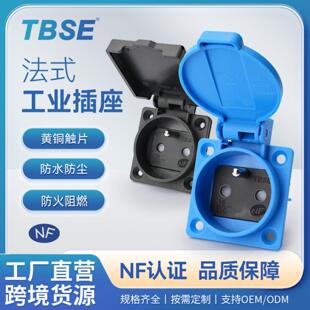 神创/TBSE IP54法式工业防水电源插座三孔16A250V发电机配电箱CE