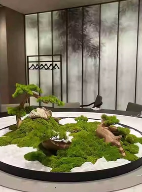 餐桌转盘永生苔藓微景观摆件