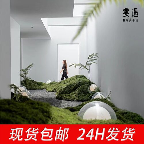 室内苔藓亚克力发光双层球灯