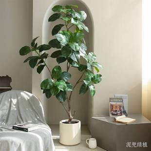 仿真绿植仿真树精品高山榕假绿植摆件客厅室内盆景橱窗装饰造景