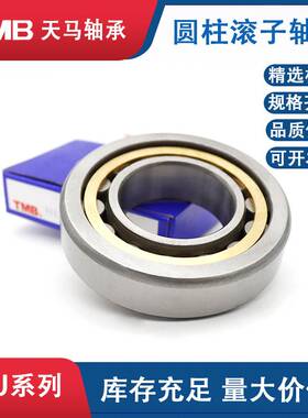 双挡边圆柱滚子轴承NJ220E机床主轴振动筛轴承NU220EM天马TMB轴承
