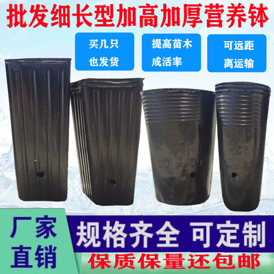 营养钵育苗盆一次性黑色塑料豆苗菜苗桶钵提根 育苗钵 营养袋