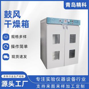 高温电热鼓风恒温干燥箱 厂家工业烤箱大型实验室电热鼓风烘箱立式