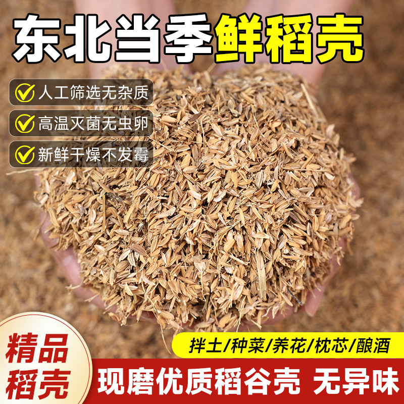 东北当季鲜稻壳发酵酿酒谷壳花草营养枕头填充芦丁鸡稻谷清仓垫料,鲜花速递/花卉仿真/绿植园艺,土壤覆盖物,淘宝优惠券,粉丝福利购,淘宝优惠卷