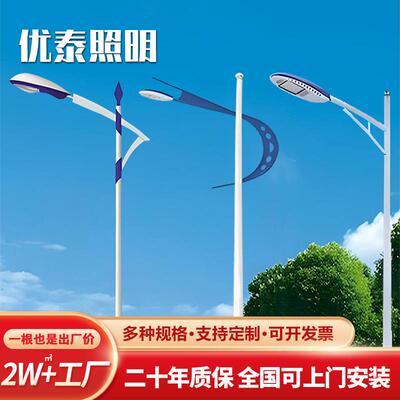 LED路灯户外防水路灯杆6米8米10米12米市电路灯led路灯厂价直销