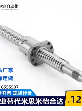 压轧滚珠丝杠丝杆BSSC BSSC1210 1510 1520 2010 2020 XSVR BSE
