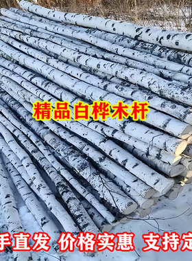 白桦木杆原木桩带皮树干景观橱窗隔断装饰品天然枯木料棍批发定制