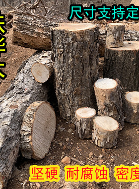 俄罗斯铁桦木墩子原木树干木桩摆件金刚木黑桦根雕刻木凳子定制