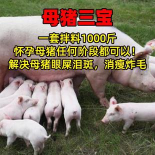 毅兴母猪三宝 水溶霉益解+种猪多维+气血三宝 死皮泪斑