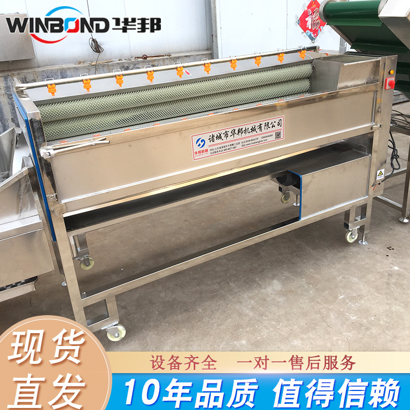 供应洋姜木薯去皮清洗机 白茅根毛辊清洗机 紫薯毛刷去皮机设备