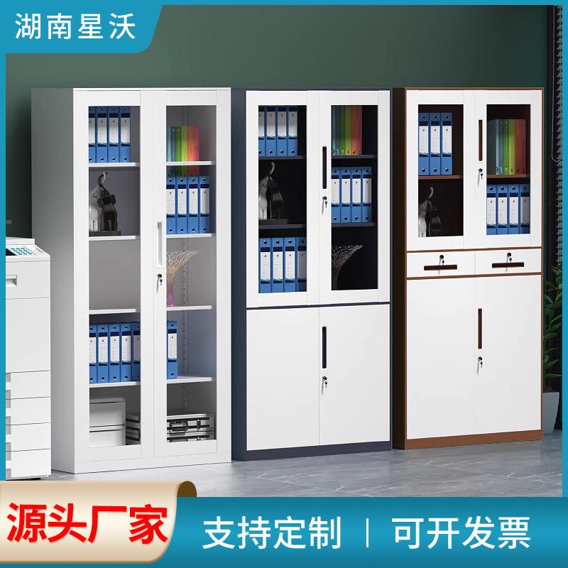 办公室文件柜铁皮档案柜钢制储物柜不锈钢资料柜矮柜操作台