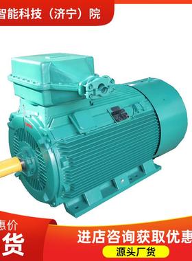 支持订购 YBSD-15/160-4/8(G)(00)隔爆型双速三相异步电动机