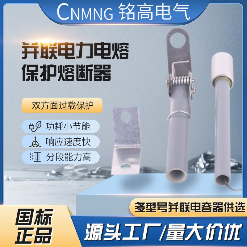 BRW-10KV-g12KV/15A16A17A18A19A20A21A22A23A24A25A 高压熔断器