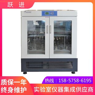 液晶屏显示 S振G荡培养箱 上海跃进HZP