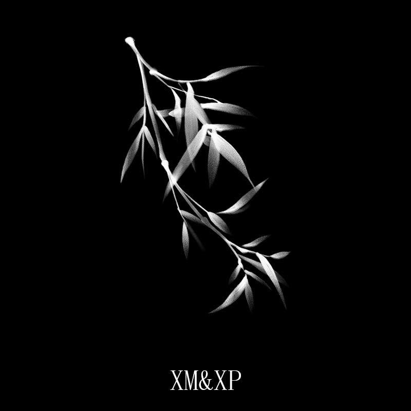 XM&XP 竹节翠玉 半臂草本纹身贴防水女持久男不反光仿真刺青