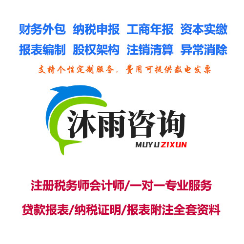 贷款报表纳税申报表完税证明科目明细表报表附注全套资料免费咨询