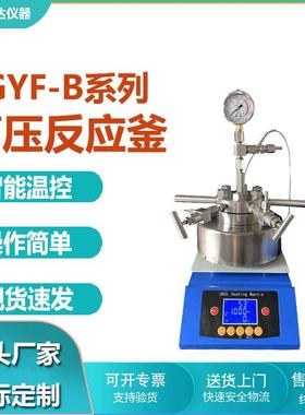 实验室磁力搅拌不锈钢反应釜TGYF-B小型台式不锈钢高压反应釜