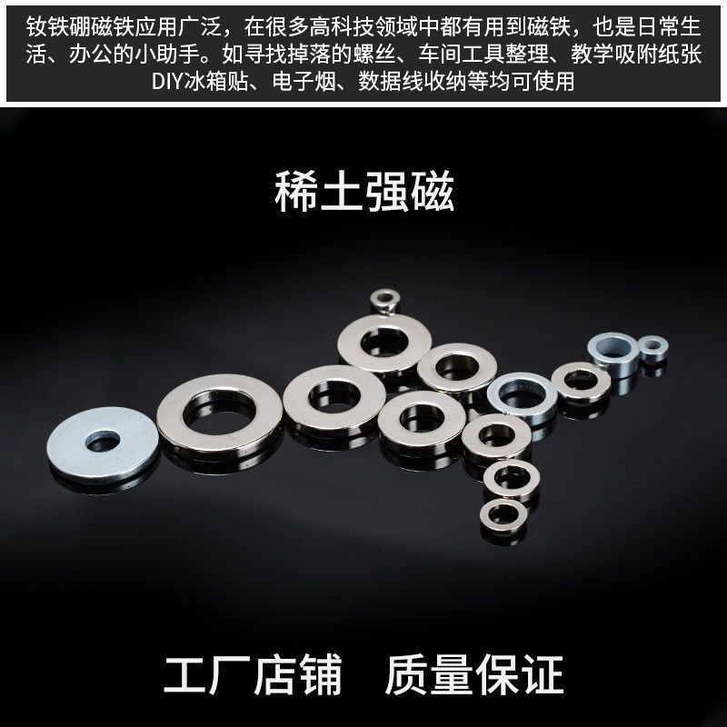 BLS1-D12/14/D16/D18-V4/6/V8/12-DGECT1/T2T5S/T3/-环形4铁 高磁