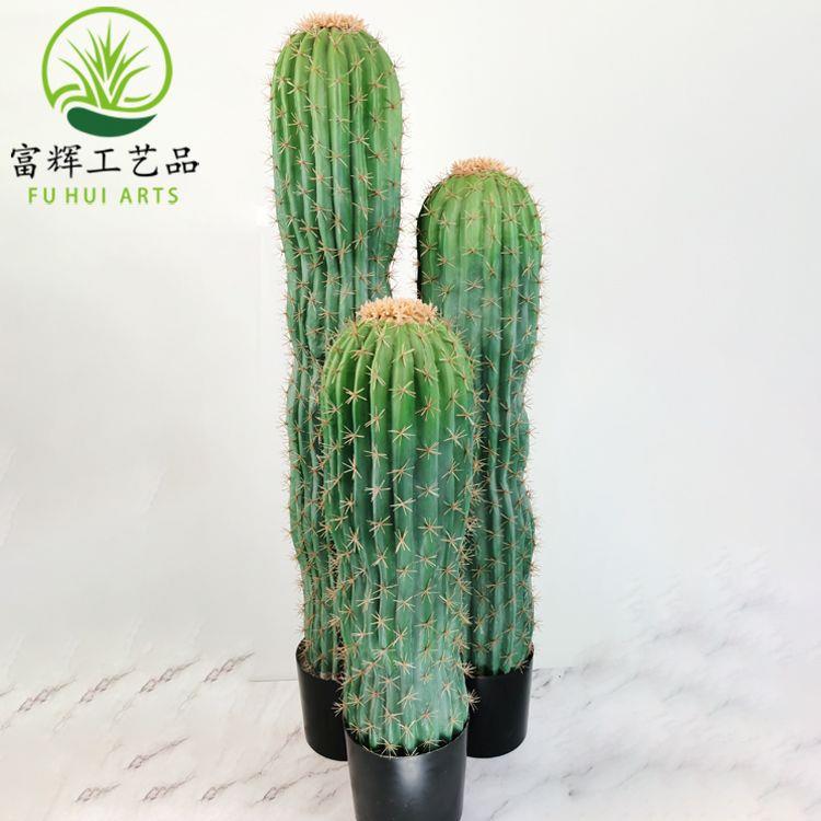热带沙漠仿真仙人掌花仙人柱绿植盆栽组合造景植物道具摆件