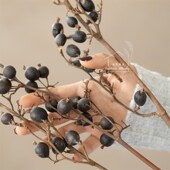 室内桌面秋色复古居家黑浆果干花摆件小众花材自然诧寂风软装 拍摄