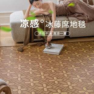 夏季 新款 凉席地垫客厅地毯卧室床边毯打地铺家用榻榻米藤编地垫