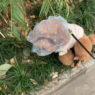 蓝色波点狗狗防误食头套舒适透气小狗头套防误食咬人防舔网套可爱
