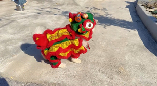 喜庆新款可爱网红舞狮子狗狗猫咪衣服小型犬搞怪秋冬四脚衣服