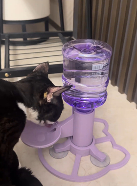 猫咪饮水机简约可爱紫色猫咪小狗自动饮水器不湿嘴猫饮水器底座