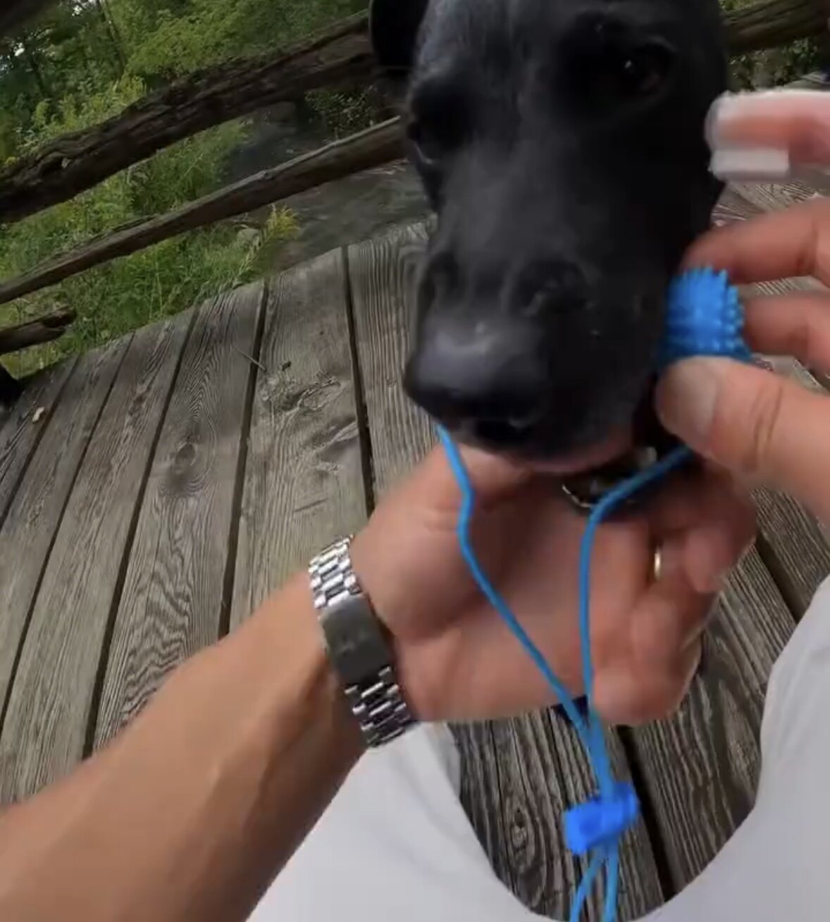 狗狗刷牙辅助神器犬口腔清洁磨牙棒宠物洁牙玩具磨牙TPR安全耐咬