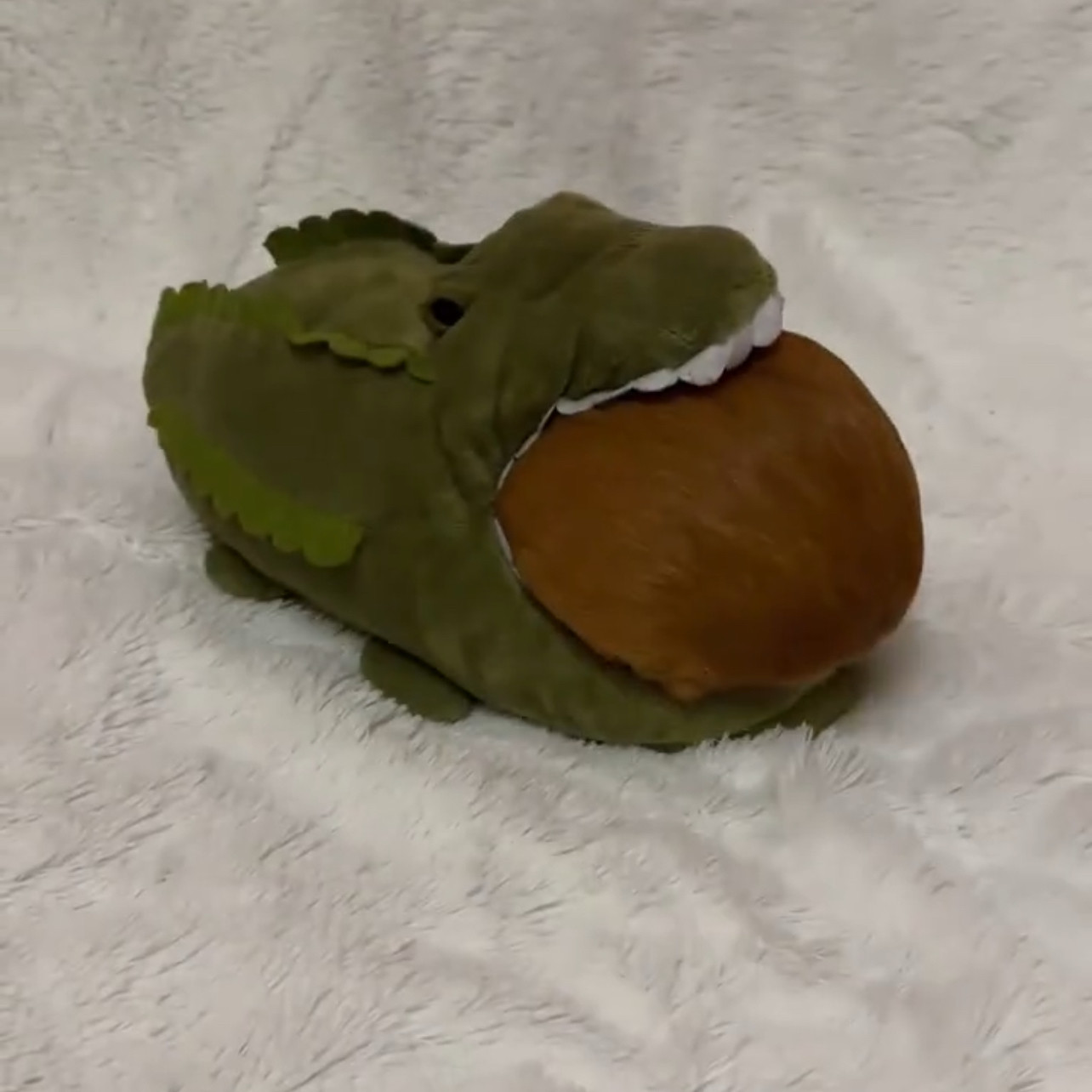 创意搞怪小鳄鱼棉拖卡通可爱鞋冬季保暖居家鲨鱼拖鞋男女绿色棉鞋