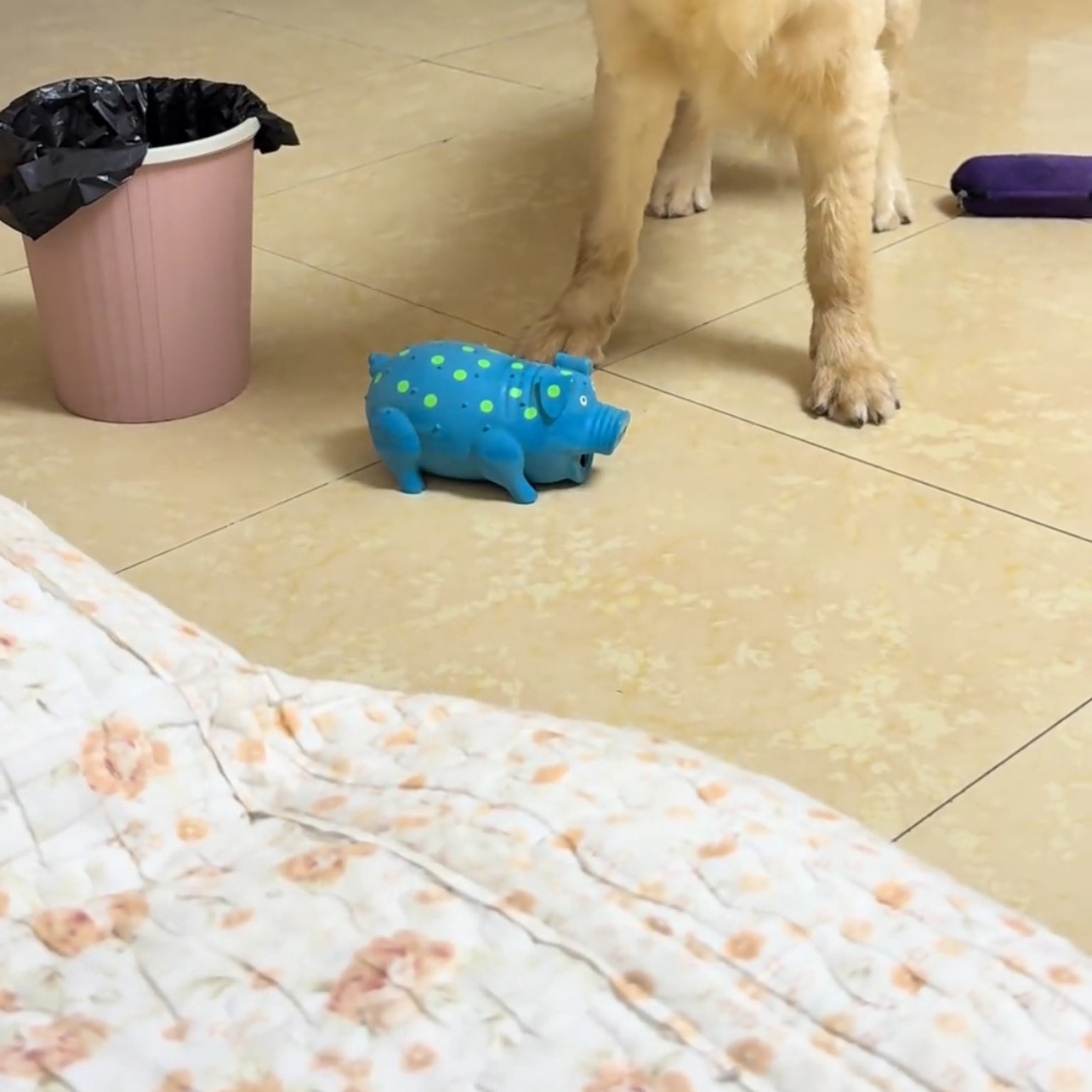蓝色宠物狗狗玩具新款耐咬磨牙猫咪小动物幼犬发声仿真可爱小猪