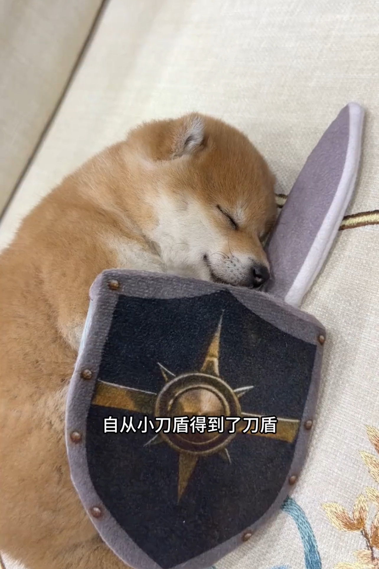 柴犬狗抽象刀盾抖音同款玩偶猎奇搞怪毛绒公仔送男友礼物2026