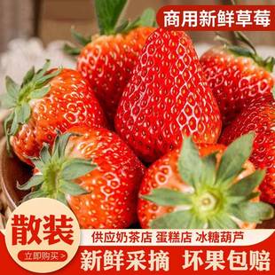 云南四季 双流草莓新鲜商用蛋糕奶茶果酱糖葫芦一整箱 包邮