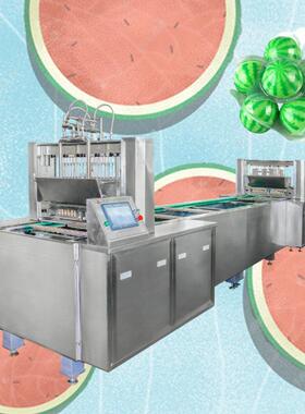 SE-7215E-450立体西瓜软糖自动生产线 糖果机浇注成型设备