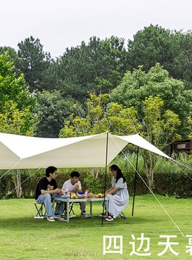 坦克300侧边帐篷车顶行李架户外露营遮阳AW天幕车U载帐篷硬全自动