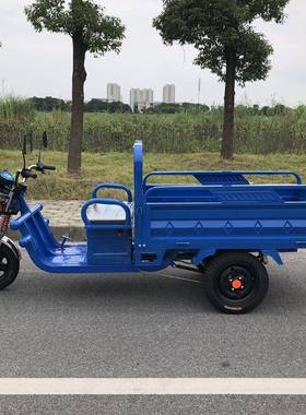 用电用动三轮车快AL811016递爬坡货代步接送农成人运家新款山区厂