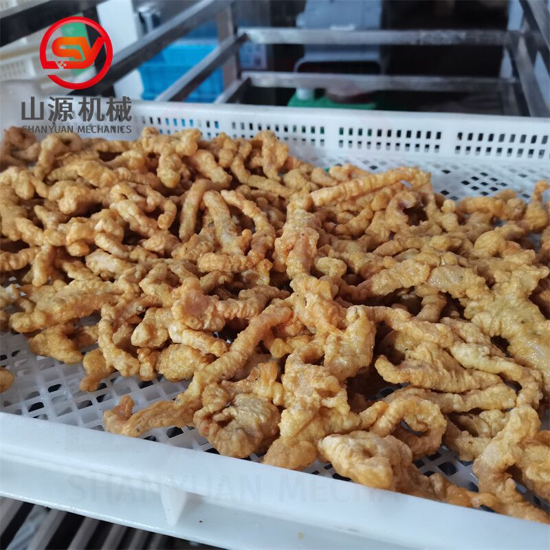 实体厂家鸡柳条油炸机 全自动小酥肉油炸设备 海苔鸡柳油炸机