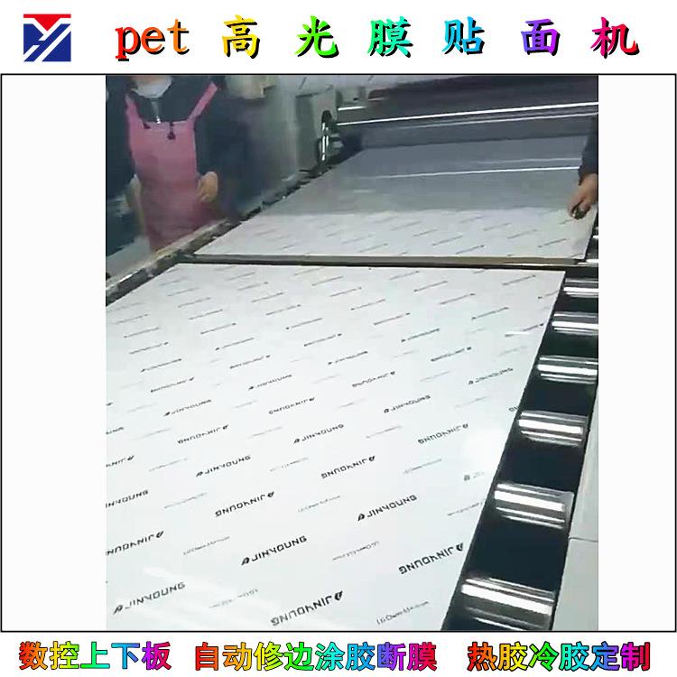 保铝板不锈钢贴机09103双面涂胶覆膜防火板贴纸面机丽家具板平贴