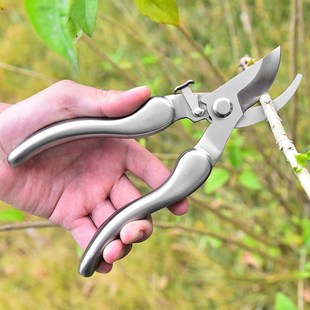 园艺剪刀304不锈钢修枝剪树枝剪刀F果枝剪家用修花剪园林工具花剪