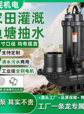 220V大口径大流量高扬程三相380V6寸8寸农用灌溉养殖场潜水排污泵
