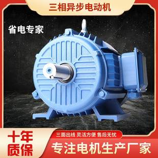 YE3 YE2 FL电机三相异步电动机4PB3水泵风机减速机380V