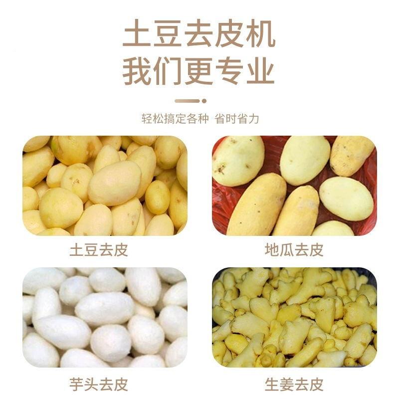 土豆去皮机商器用家小型瓜全自动洋葱清洗削皮神用地姜洋TP350芋