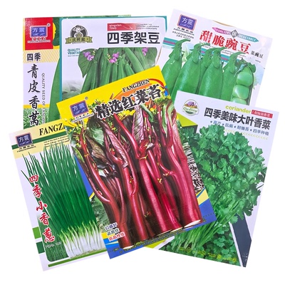 国产适合新手小白四季蔬菜种子