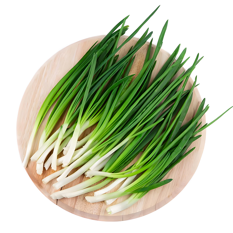 新鲜绿色小香葱茬时令蔬菜种子
