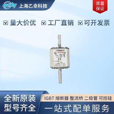 巴斯曼熔断器 170M3013 170M3014 170M3015 170M3016 170M3017