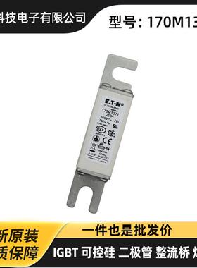170M5811D 170M5812D 170M5813D 170M5814D原盒高压熔断器 保险丝