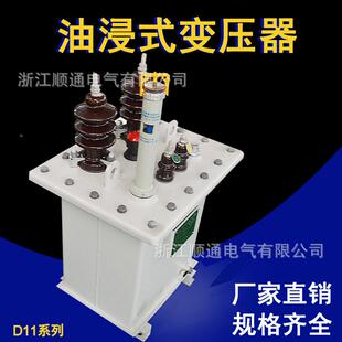 10001250器 户外单相油式 800 63浸0 2000KV89677A电力变 变压D11