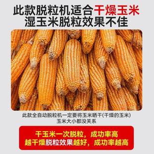 电动打ZWG玉米机脱粒机家用小器型功能器全自动多剥拖脱玉米粒机