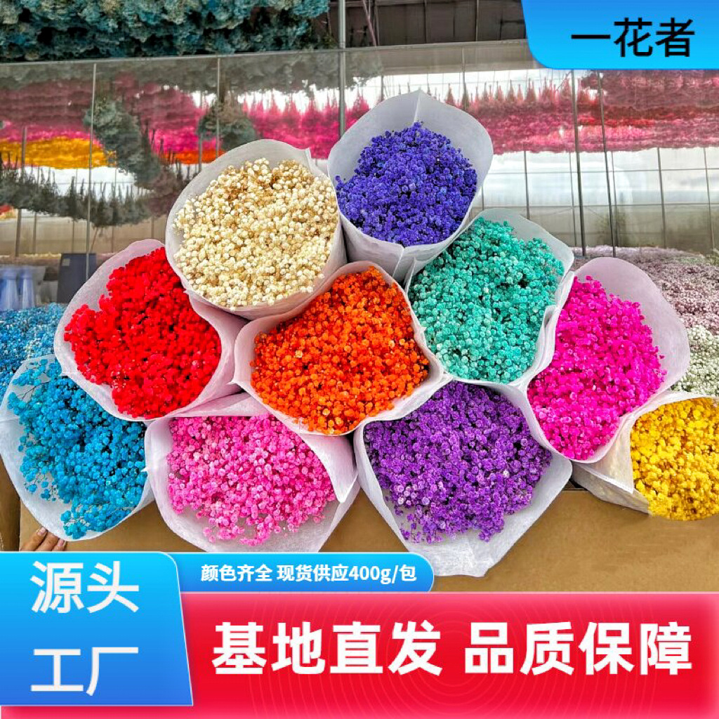花者云南工厂保鲜花 diy干花材礼盒400g永生花满天星干花花束
